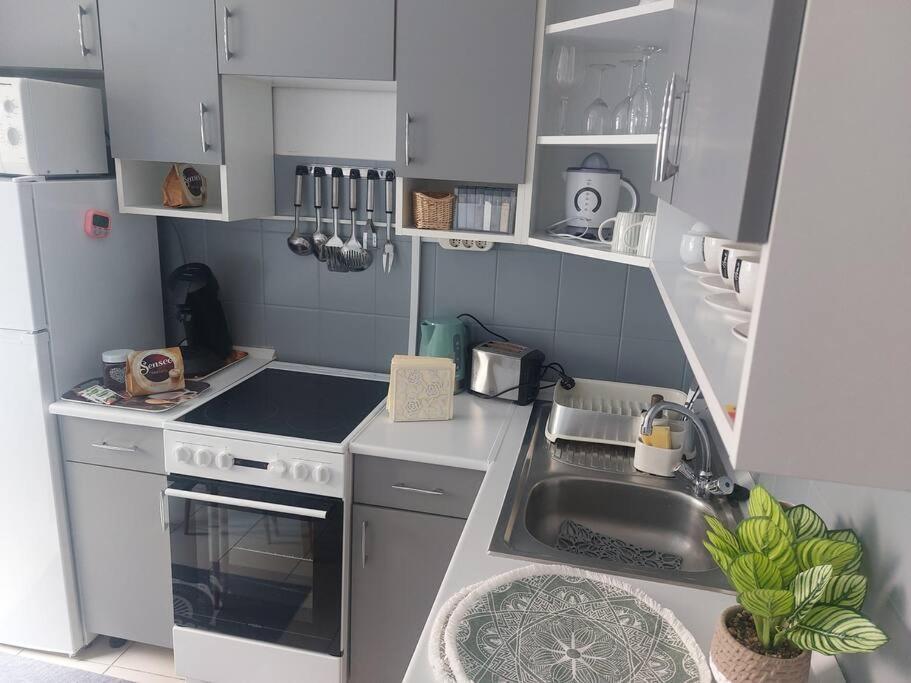 Dora Apartman Best Location & Free Parking Debrecen Eksteriør bilde
